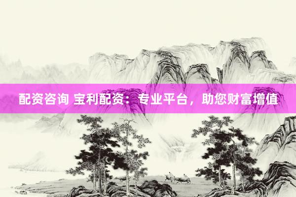 配资咨询 宝利配资：专业平台，助您财富增值