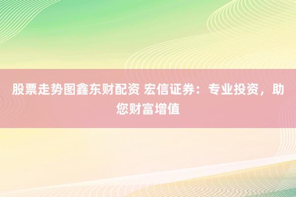 股票走势图鑫东财配资 宏信证券：专业投资，助您财富增值