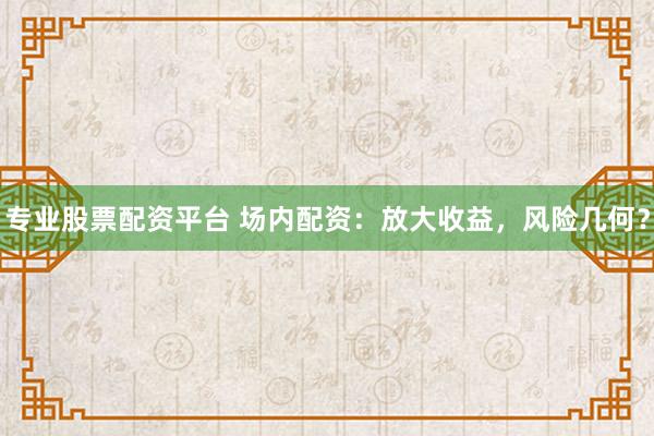 专业股票配资平台 场内配资：放大收益，风险几何？