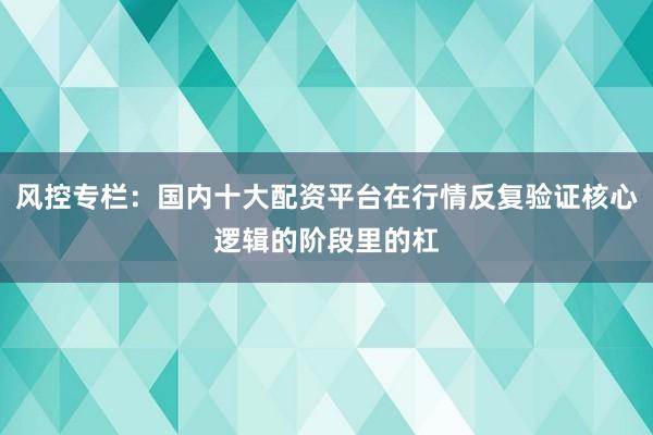 风控专栏:国内十大配资平台在行情反复验证核心逻辑的阶段里的杠