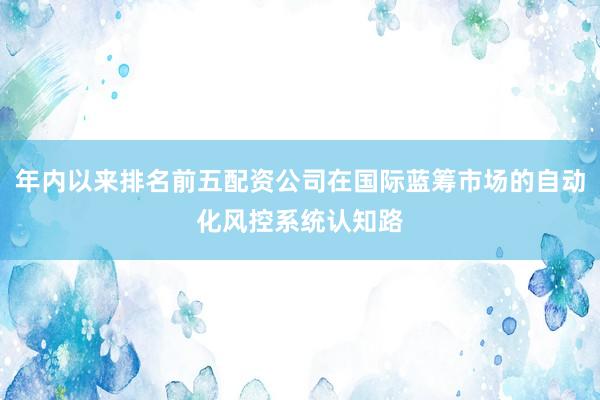 年内以来排名前五配资公司在国际蓝筹市场的自动化风控系统认知路