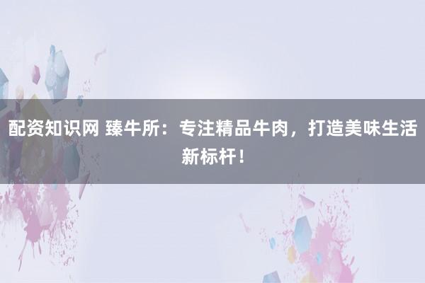 配资知识网 臻牛所：专注精品牛肉，打造美味生活新标杆！